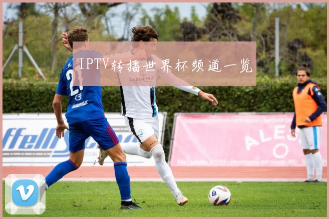 IPTV转播世界杯频道一览