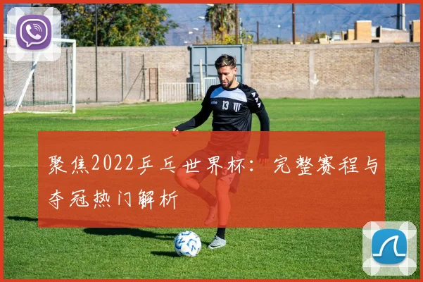 聚焦2022乒乓世界杯：完整赛程与夺冠热门解析