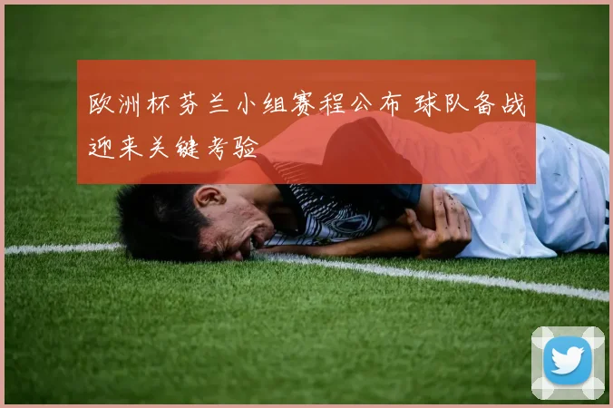 欧洲杯芬兰小组赛程公布 球队备战迎来关键考验