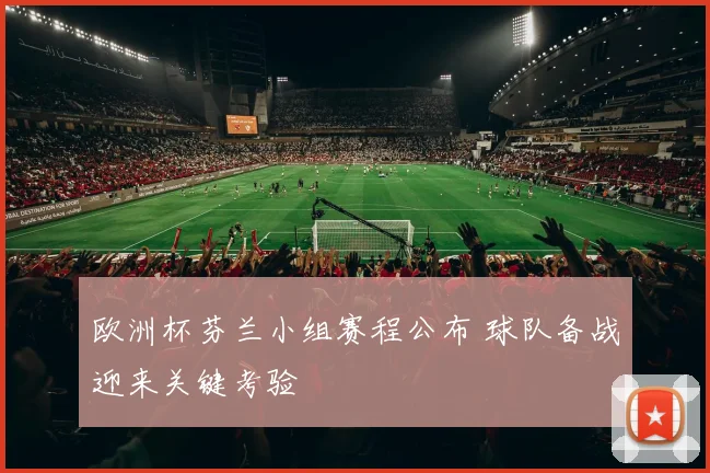 欧洲杯芬兰小组赛程公布 球队备战迎来关键考验