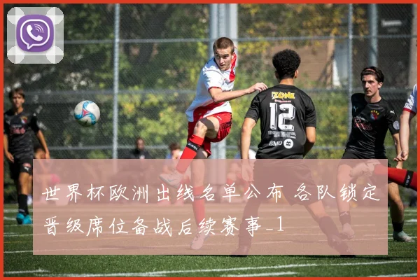 世界杯欧洲出线名单公布 各队锁定晋级席位备战后续赛事_1