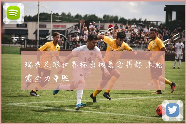 瑞典足球世界杯出线悬念再起 末轮需全力争胜