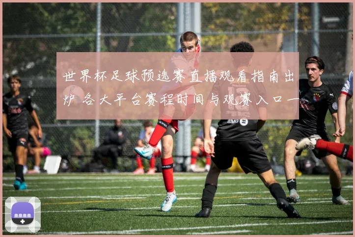 世界杯足球预选赛直播观看指南出炉 各大平台赛程时间与观赛入口一览