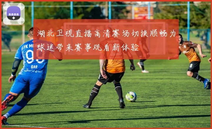 湖北卫视直播高清赛场切换顺畅为球迷带来赛事观看新体验