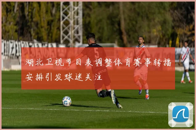 湖北卫视节目表调整体育赛事转播安排引发球迷关注